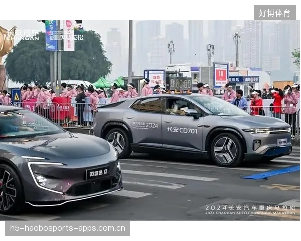 马赛决策新篇章：投资比赛分析，领跑未来