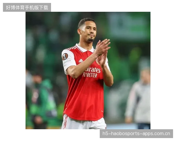 阿森纳：从裁判争议到赛季辉煌——如何超越挫折，重塑传奇